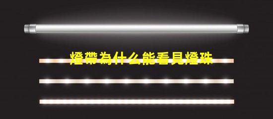 燈帶為什么能看見燈珠呢 鹿看見燈為什么不走